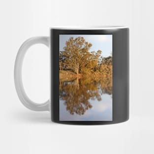 River Murray Reflections Late Afternoon Mug